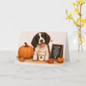 Springer Spaniel Pumpkin Spice Kaart (Gele Bloem)