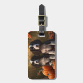 Springer Spaniel Puppy Herfst Delight Pompoen Bagagelabel (Voorkant verticaal)