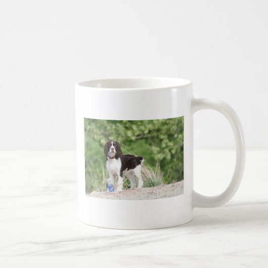 Springer Spaniel Puppy! Koffiemok (Rechts)