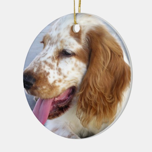 Springer Spaniel Puppy Ornament (Links)