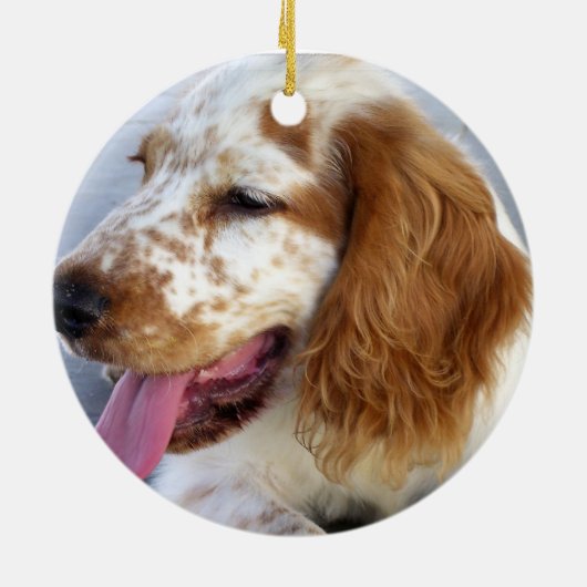 Springer Spaniel Puppy Ornament (Achterkant)