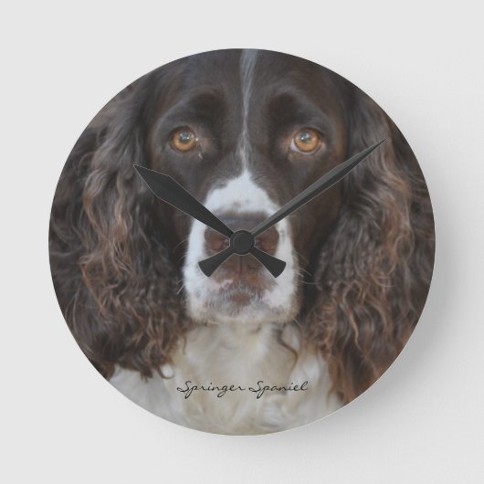 Springer Spaniel Round Wall klok (Voorkant)
