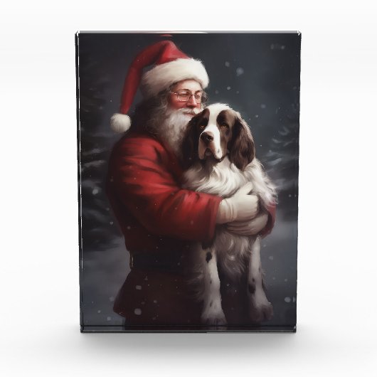Springer Spaniel Sinterklaas Feestelijke Kerstmis Fotoblokken (Voorkant)