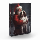 Springer Spaniel Sinterklaas Feestelijke Kerstmis Fotoblokken (Links)