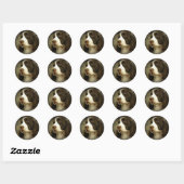 Springer Spaniel Sticker (Vel)