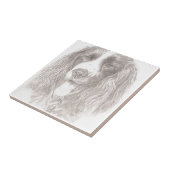 Springer Spaniel Tegeltje (Zijkant)