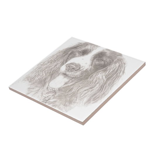Springer Spaniel Tegeltje (Zijkant)