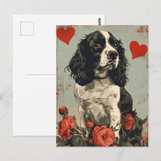 Springer Spaniel Valentijnsdag  Briefkaart (Voorkant / Achterkant)
