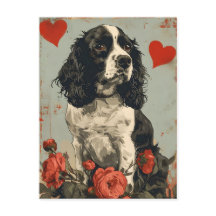 Springer Spaniel Valentijnsdag 