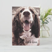 Springer spaniel-vergroentingskaart. bedankkaart (Staand voorkant)