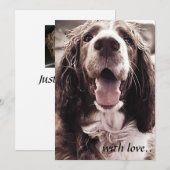 Springer spaniel-vergroentingskaart. bedankkaart (Voorkant / Achterkant)