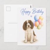 Springer Spaniel Verjaardag Briefkaart (Voorkant / Achterkant)