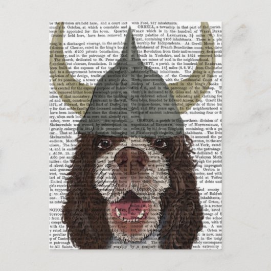 Springer Spaniel Viking Briefkaart (Voorkant)