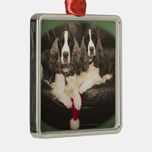 Springer Spaniels Ornament (Rechts)