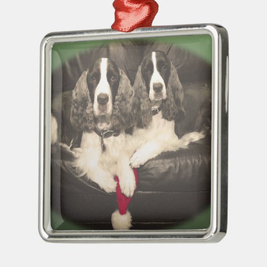 Springer Spaniels Ornament (Links)