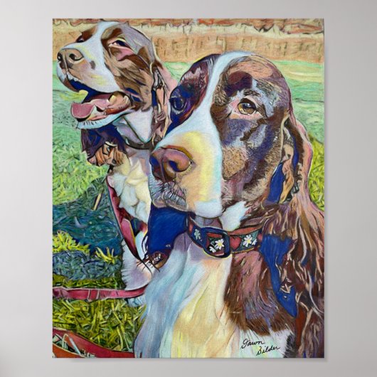 Springer Spaniels Poster (Voorkant)
