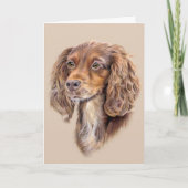 Springer Sprocker Cocker Spaniel Groeten Kaart (Voorkant)