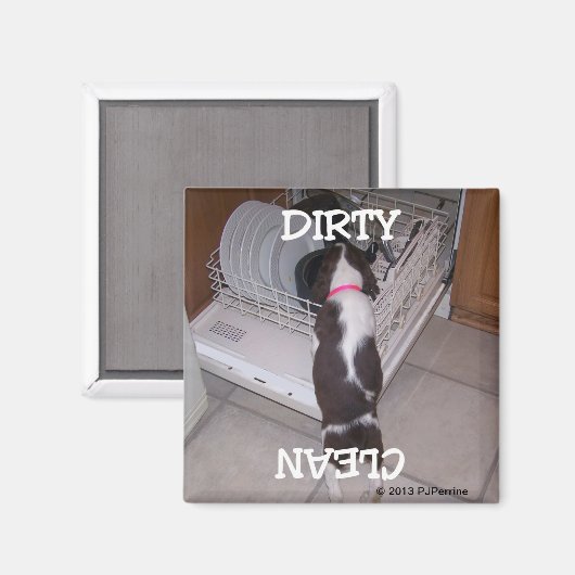 Springer Vaatwasser Magneet (Voorkant / Achterkant)