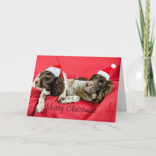 springers feestdagen kaart (Voorkant)