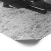 Springfield Auto Race: 1900 Poster (Hoek)