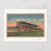 Springfield, IL - State Fair Grounds Horse Briefkaart (Voorkant)