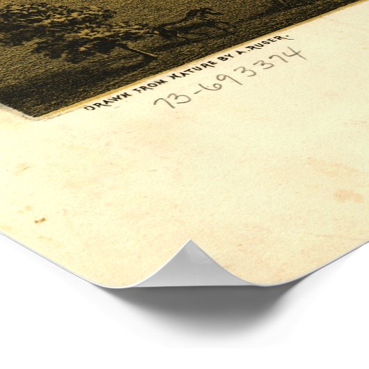 Springfield Illinois (1867) Poster (Hoek)