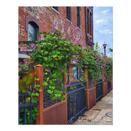 Springfield Missouri Street Foto Afdruk (Voorkant)