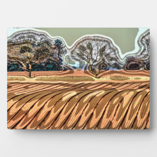 SPRINGGEBIEDEN FOTOPLAAT