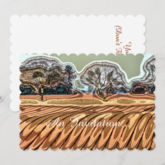 SPRINGGEBIEDEN KAART (Voorkant / Achterkant)