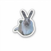 springkussen sticker (Voorkant)