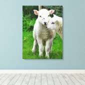 SPRINGLAMBS CANVAS AFDRUK (Insitu (Houten vloer))