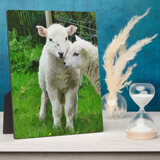 SPRINGLAMBS FOTOPLAAT (Zijkant)