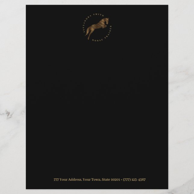 springpaard | Krabbel Paard | Paardentrainer Briefhoofd (Voorkant)