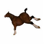springpaard staand fotobeeldje<br><div class="desc">Afbeelding van een paard</div>