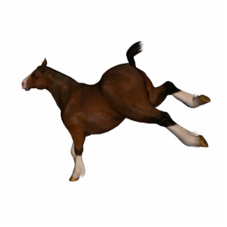 springpaard staand fotobeeldje