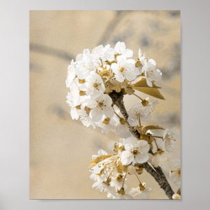 Spring's Ballet Dancing Blossoms in de wind Poster
