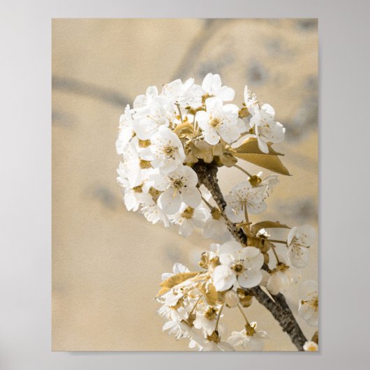 Spring's Ballet Dancing Blossoms in de wind Poster (Voorkant)