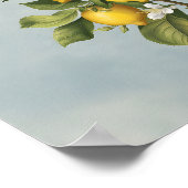 Spring's Bounty: Citroenboombloesem Poster (Hoek)