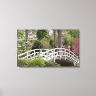 Spring's Bridge Canvas Afdruk