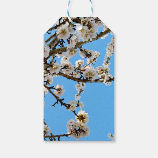 Spring's Embrace: witte bloemen tegen blauwe lucht Cadeaulabel (Achterkant)