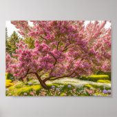 Spring's Love Poster (Voorkant)