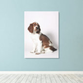 Springspaniel Canvas Afdruk (Insitu (Houten vloer))