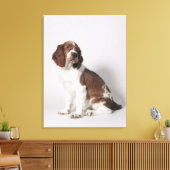 Springspaniel Canvas Afdruk (Insitu (Woonkamer))