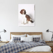 Springspaniel Canvas Afdruk (Insitu (Slaapkamer))