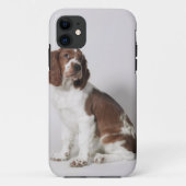 Springspaniel Case-Mate iPhone Case (Achterkant)