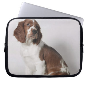 Springspaniel Laptop Sleeve