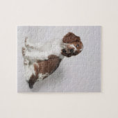Springspaniel Legpuzzel (Horizontaal)