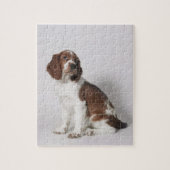 Springspaniel Legpuzzel (Verticaal)