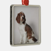 Springspaniel Metalen Ornament (Rechts)