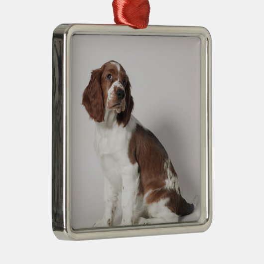 Springspaniel Metalen Ornament (Rechts)